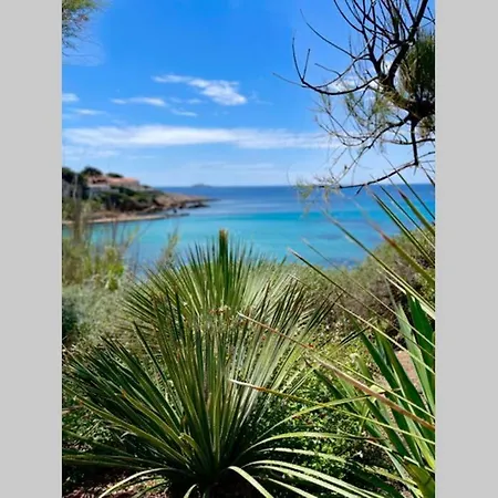 Apartment Portissol T1 Rdj Clim Parking Privatif 300m Sanary-sur-Mer